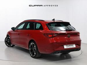 Cupra León SP 1.5 eTSI 110kW (150CV) DSG
