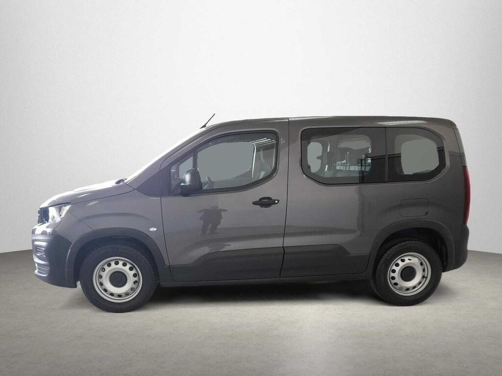 Peugeot Rifter 1.5 BLUEHDI 100 ACTIVE BUSINESS STD 4P (N1) 29