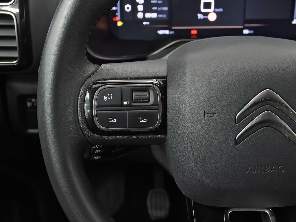 Citroën C5 Aircross BlueHdi 96kW (130CV) S&S C Series 18