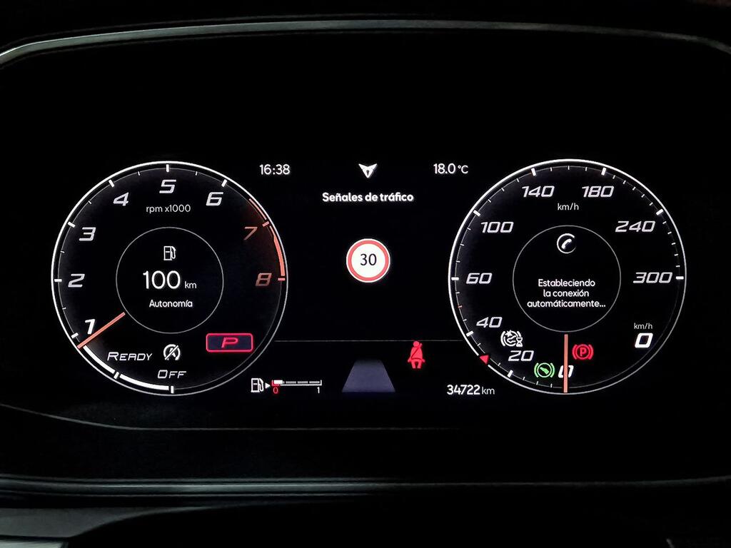 Cupra Formentor 2.0 TSI 228kW (310 CV) VZ 4Drive DSG 14