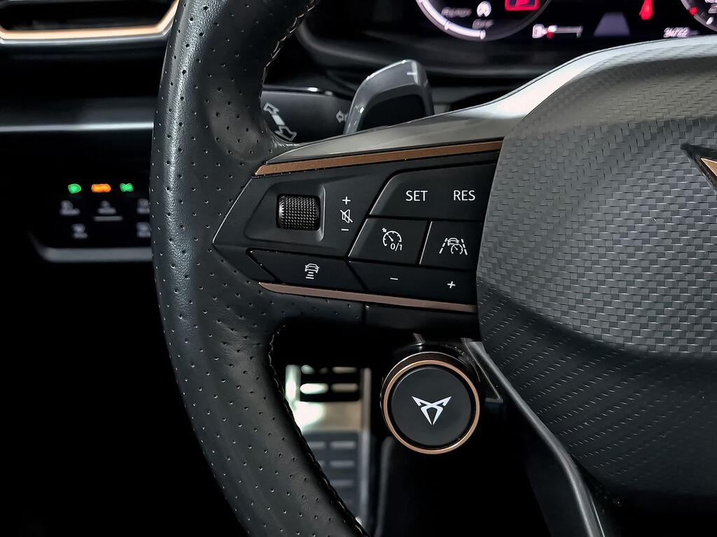 Cupra Formentor 2.0 TSI 228kW (310 CV) VZ 4Drive DSG 17