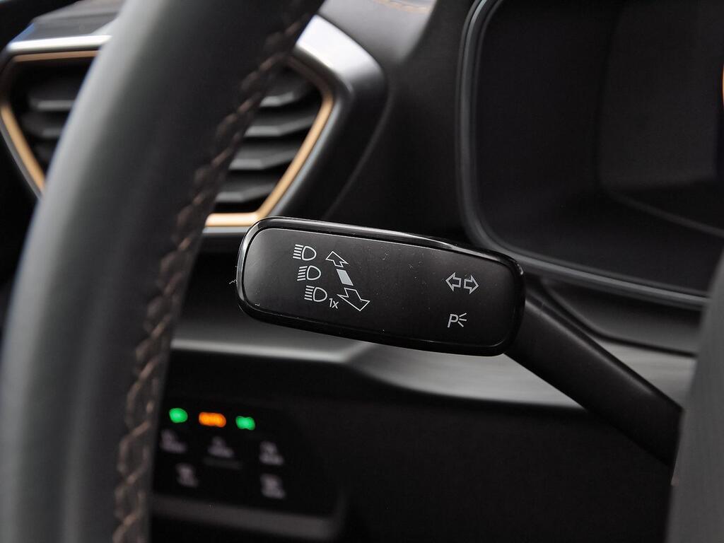Cupra Formentor 1.5 TSI 110kW (150 CV) 14