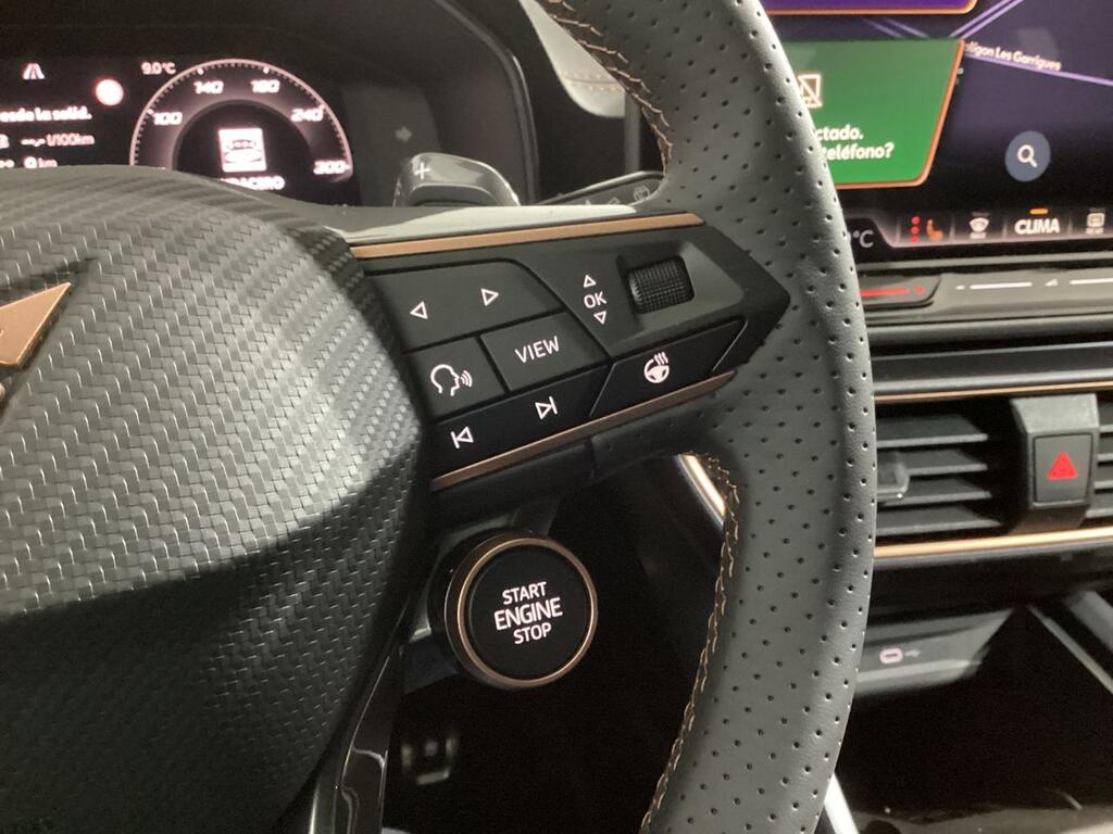 Cupra Formentor 2.0 TDI 110kW (150 CV) DSG 13