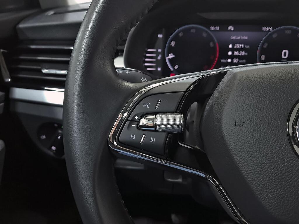 Skoda Kamiq 1.0 TSI 81kW (110CV) Emotion 14