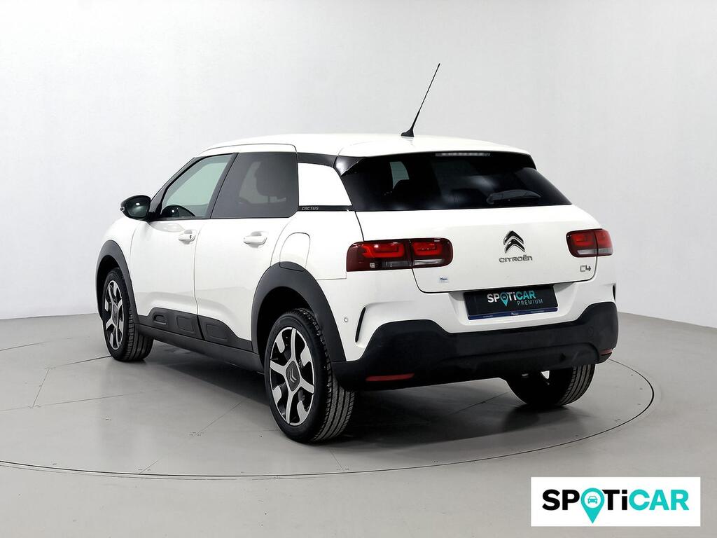 Citroën C4 Cactus PureTech 110 S&S Shine Pack 2