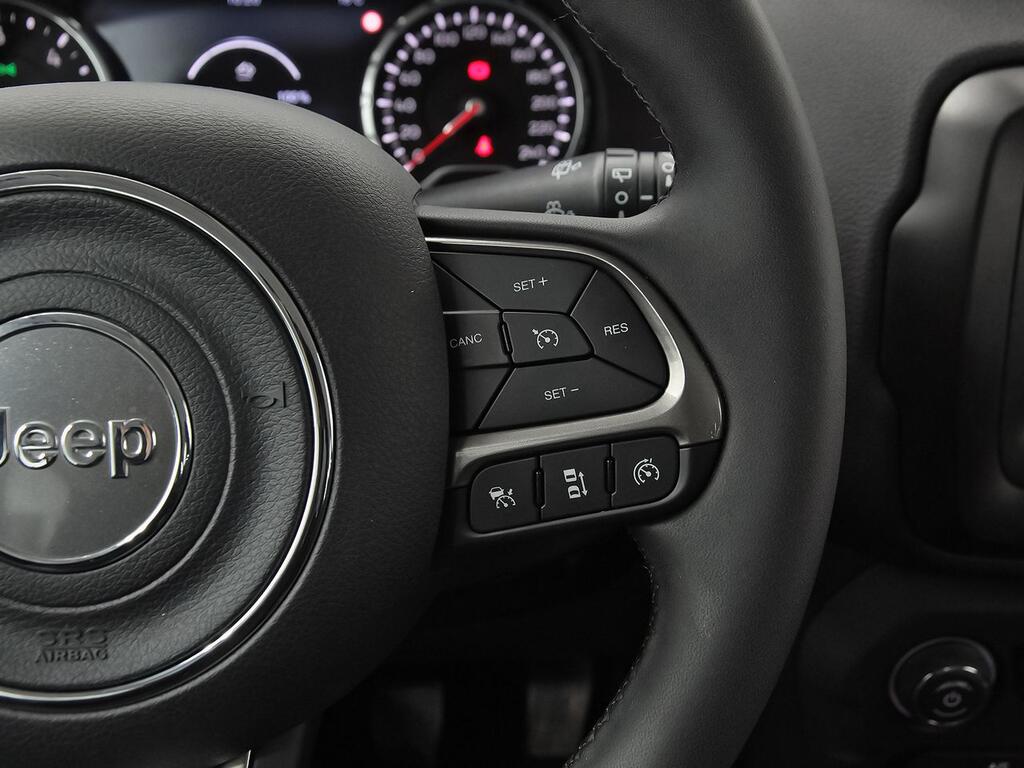 Jeep Renegade Limited 1.6 Mjet 95,6kW (130CV) 4x2 19