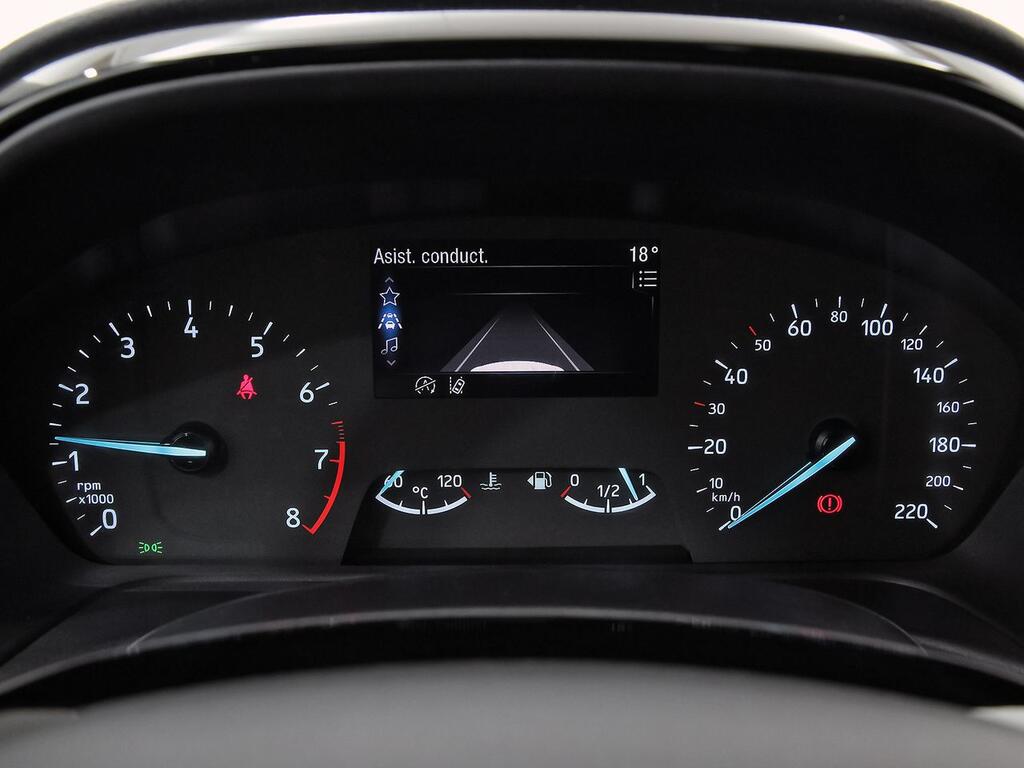 Ford Fiesta 1.0 EcoBoost 74kW (100CV) Trend 5p 15
