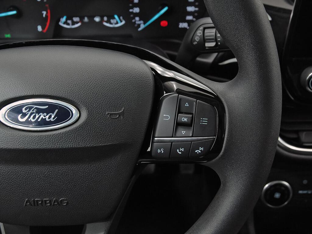 Ford Fiesta 1.0 EcoBoost 74kW (100CV) Trend 5p 19