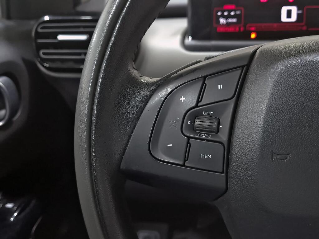 Citroën C4 Cactus PureTech 81KW (110CV) S&S Feel 14