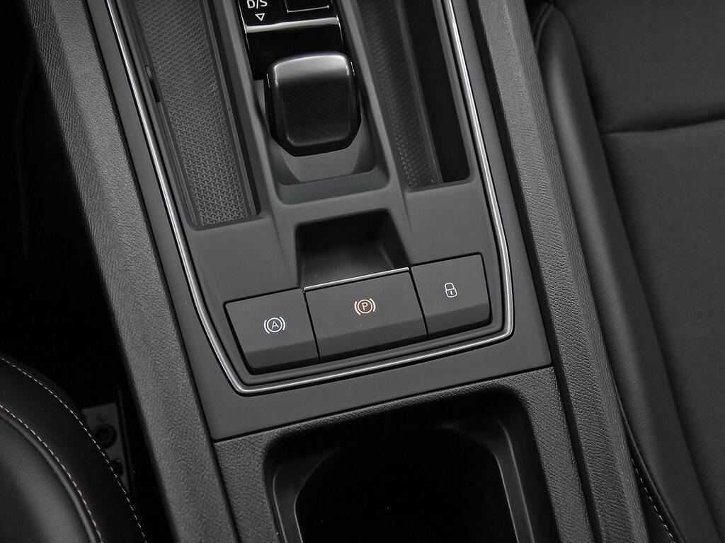 Cupra León SP 2.0 TSI 140kW (190CV) DSG 31