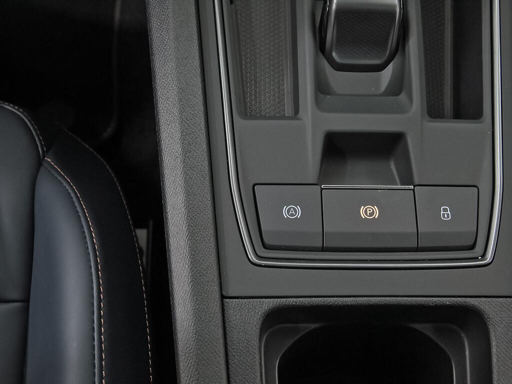 Cupra León SP 2.0 TSI 228kW (310 CV) 4Drive DSG 35
