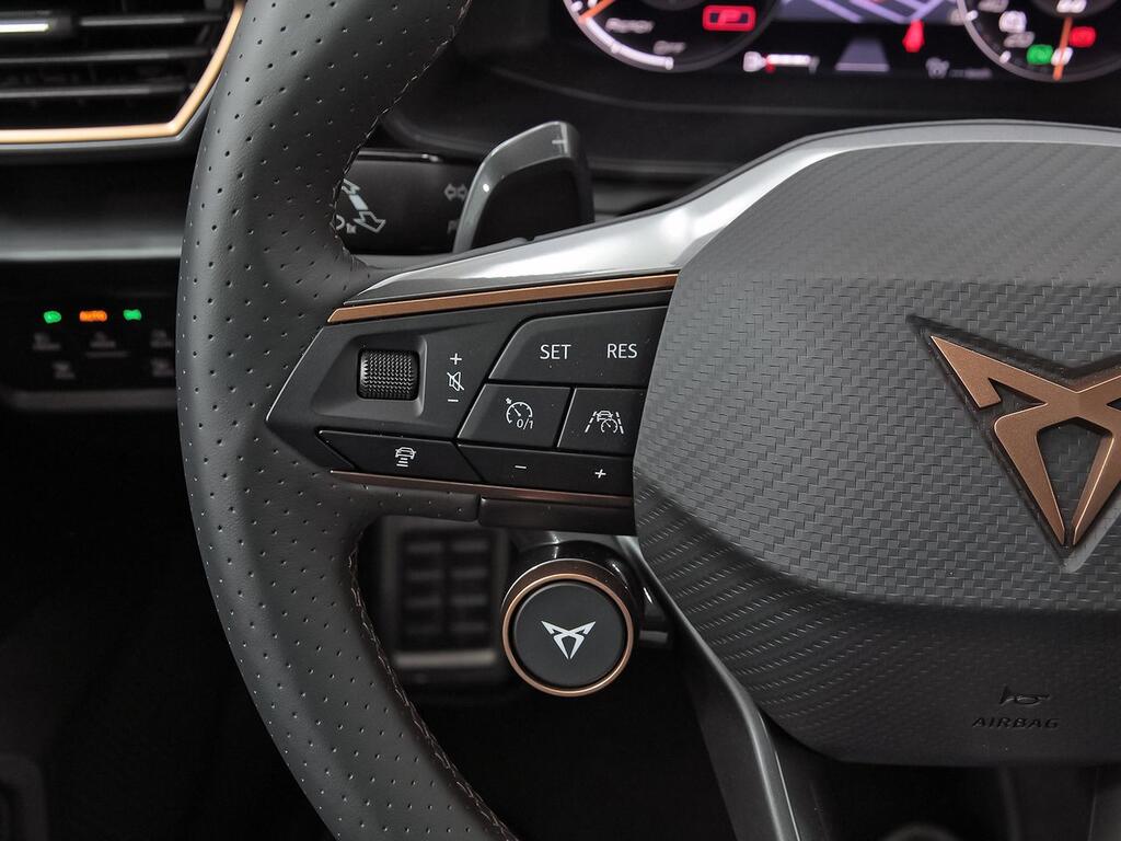 Cupra León SP 2.0 TSI 228kW (310 CV) 4Drive DSG 17