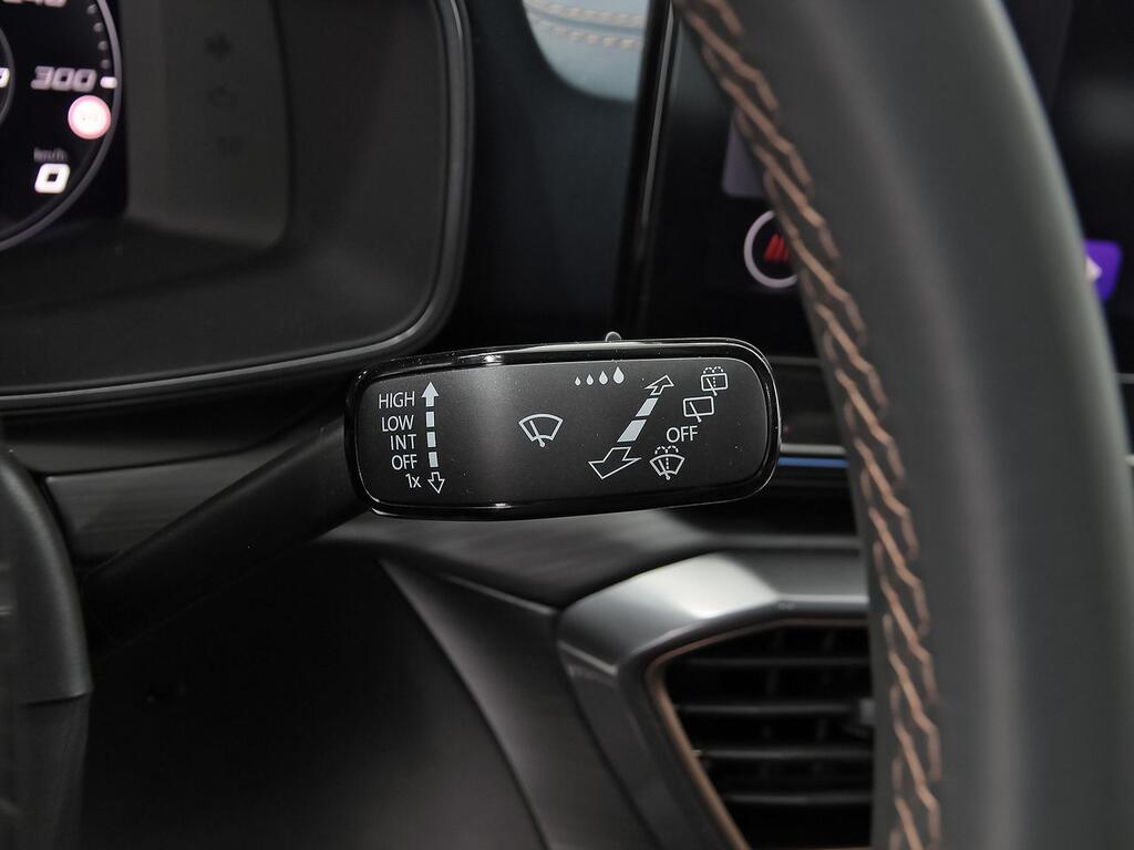 Cupra León SP 2.0 TSI 228kW (310 CV) 4Drive DSG 16