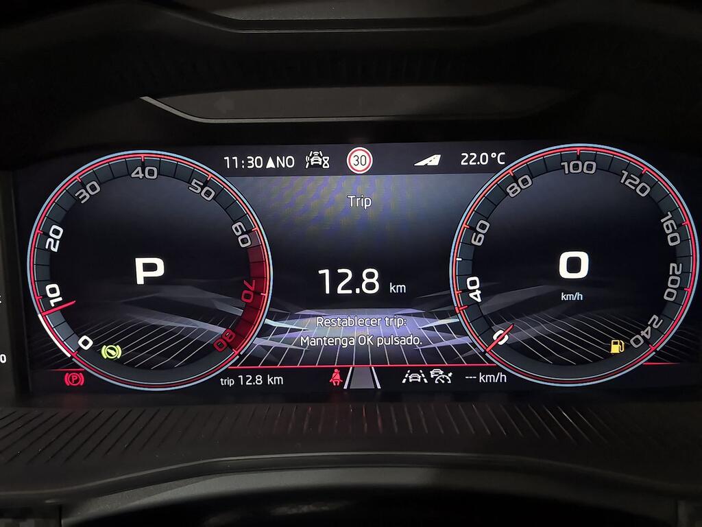 Skoda Scala 1.5 TSI 110 KW (150 CV) DSG MONTE CARLO 11