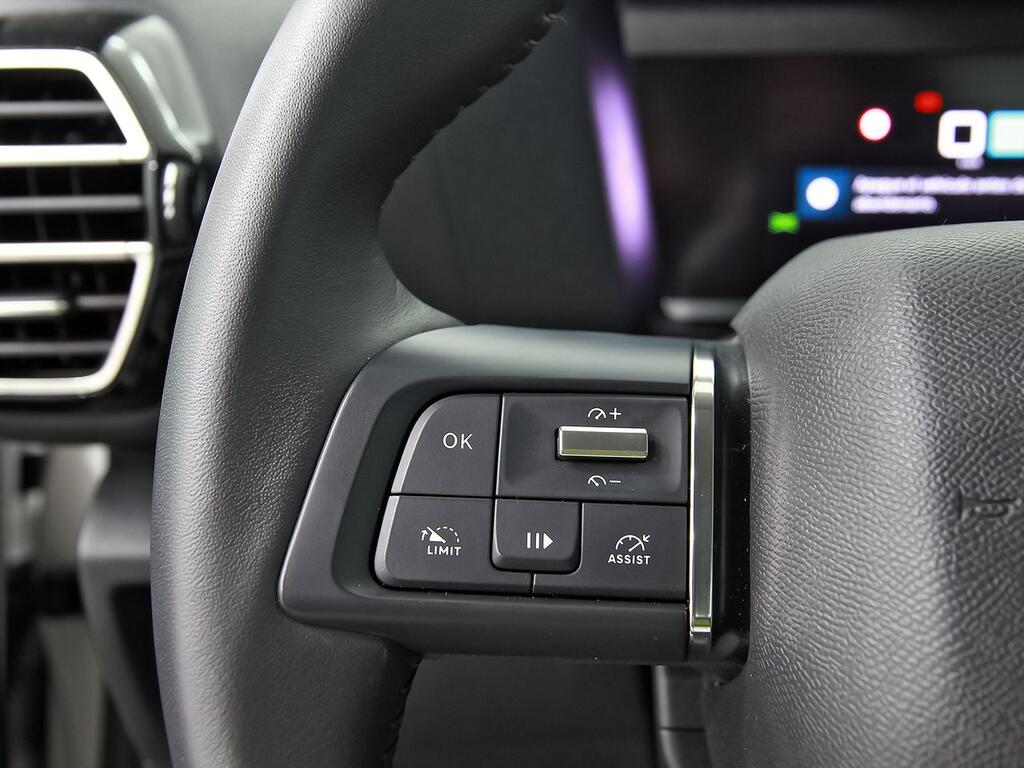 Citroën C4 PureTech 130 S&S 6v Feel Pack 17