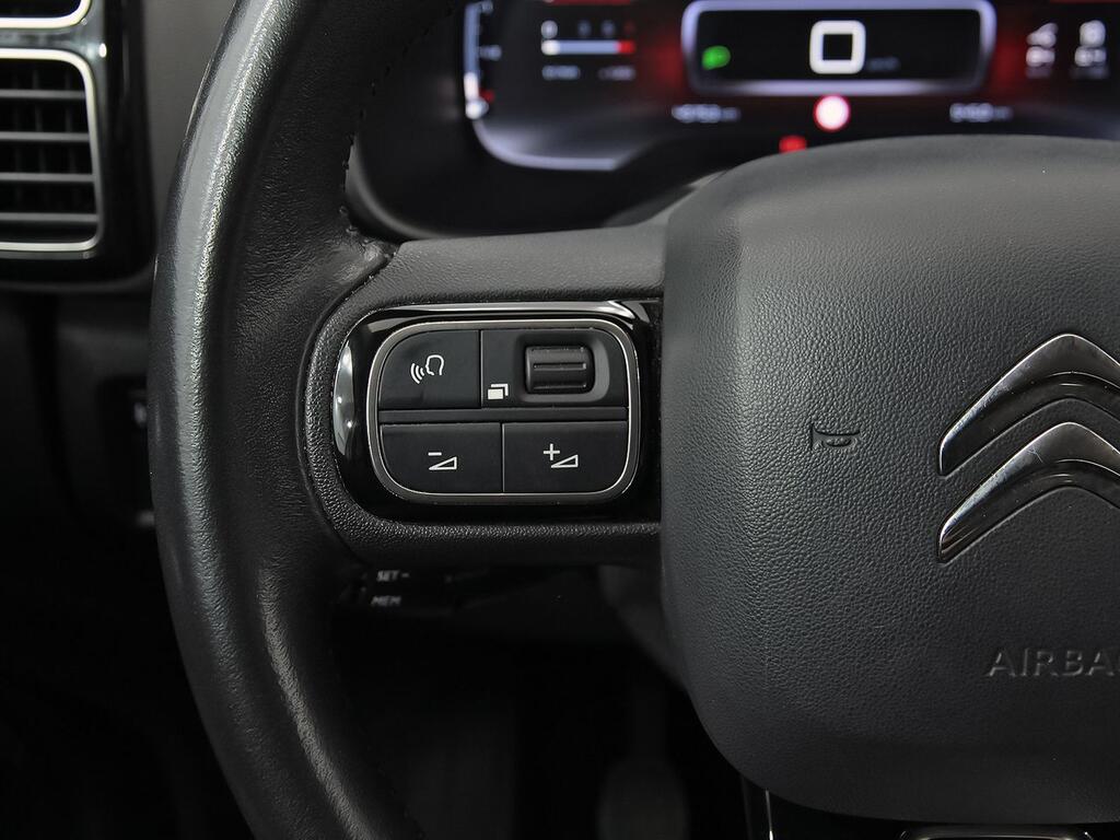 Citroën C5 Aircross BlueHdi 96kW (130CV) S&S Feel 19