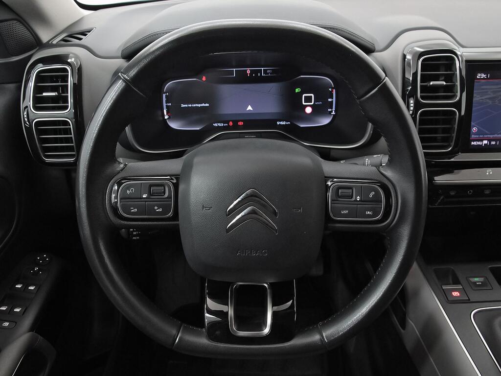 Citroën C5 Aircross BlueHdi 96kW (130CV) S&S Feel 21
