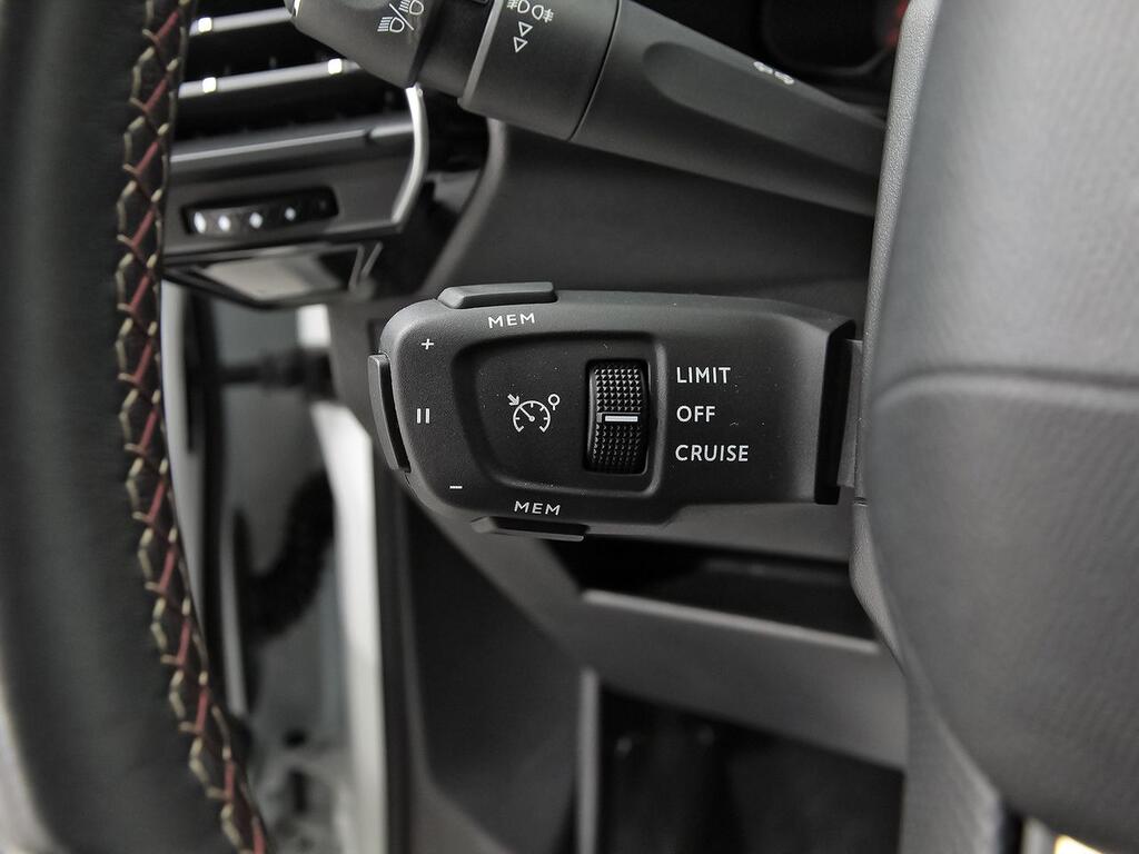 DS DS 7 BlueHDi DE 96kW (130CV) PERFORMANCE LINE 13