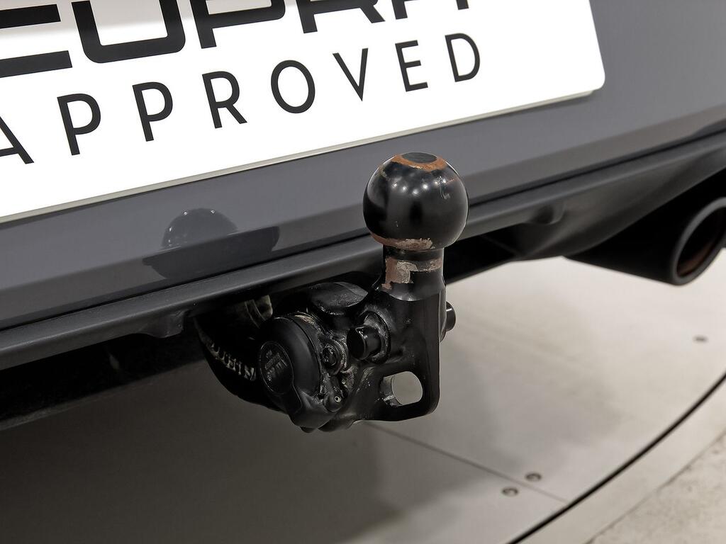 Cupra León SP VZ 2.0 TSI 228kW (310 CV) 4Drive DSG 40