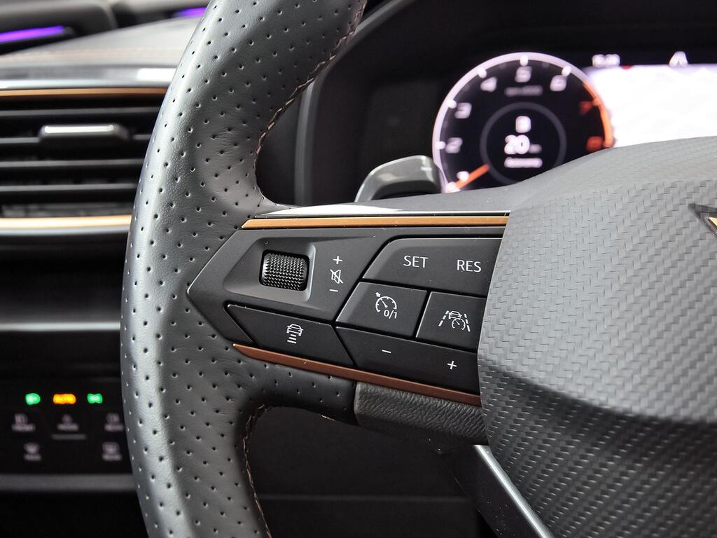 Cupra Formentor 1.5 TSI 110kW (150 CV) Tech Edition DSG 14