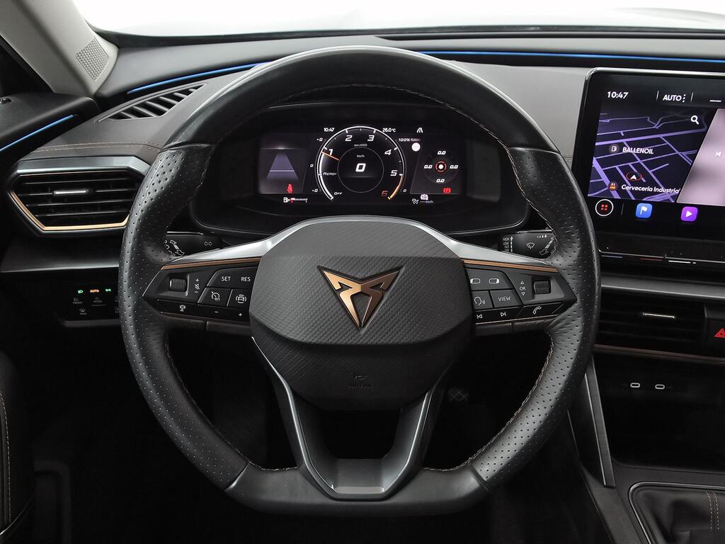 Cupra Formentor 2.0 TDI 110kW (150 CV) 17