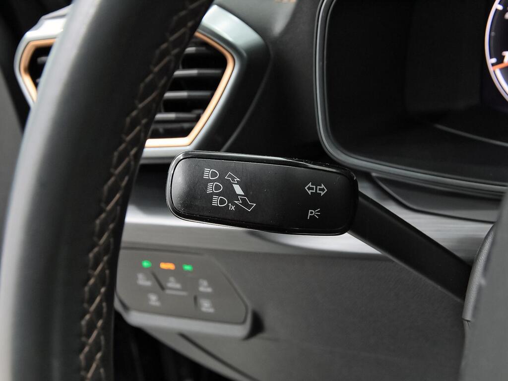 Cupra Formentor 2.0 TDI 110kW (150 CV) 13