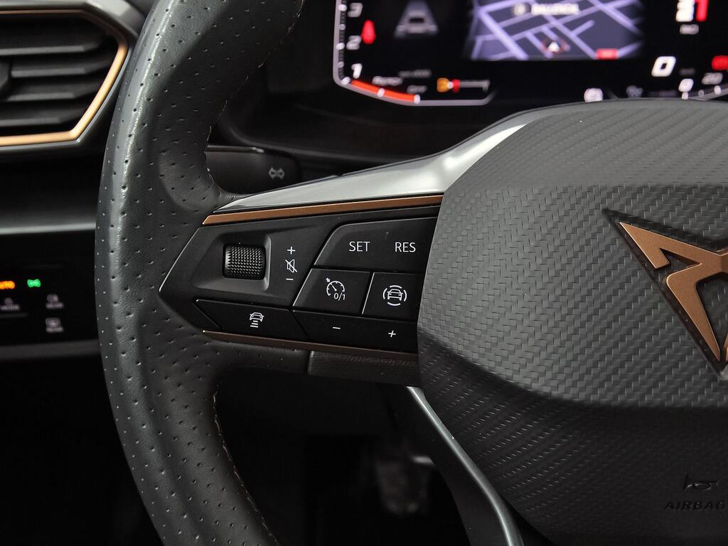 Cupra Formentor 2.0 TDI 110kW (150 CV) 15