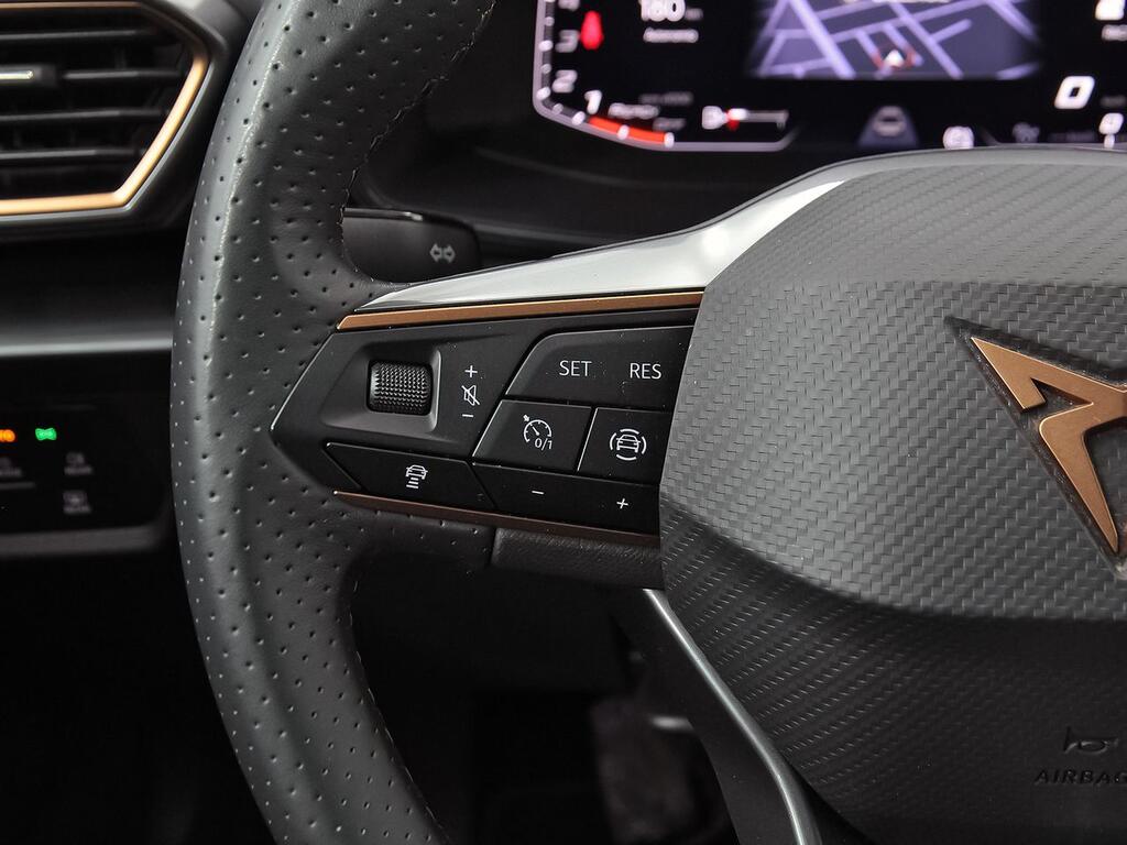 Cupra Formentor 1.5 TSI 110kW (150 CV) 15