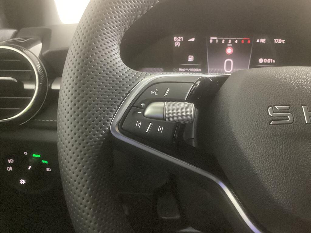 Skoda Fabia 1.0 TSI 70KW (95CV) Plus 11