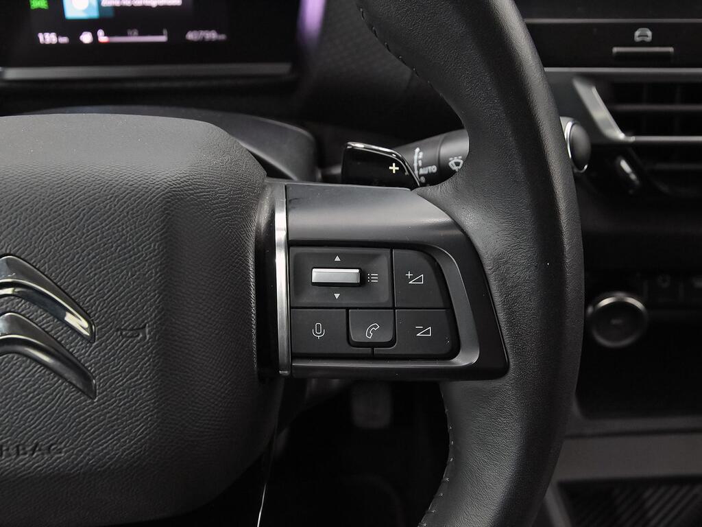 Citroën C4 BlueHDi 130 S&S EAT8 Feel Pack 19