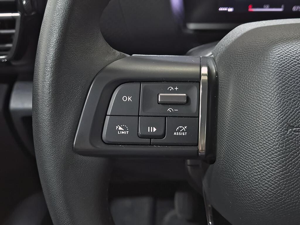Citroën C4 BlueHdi 110 S&S Feel Pack 17 Citroën C4 BlueHdi 110 S&S Feel Pack 17