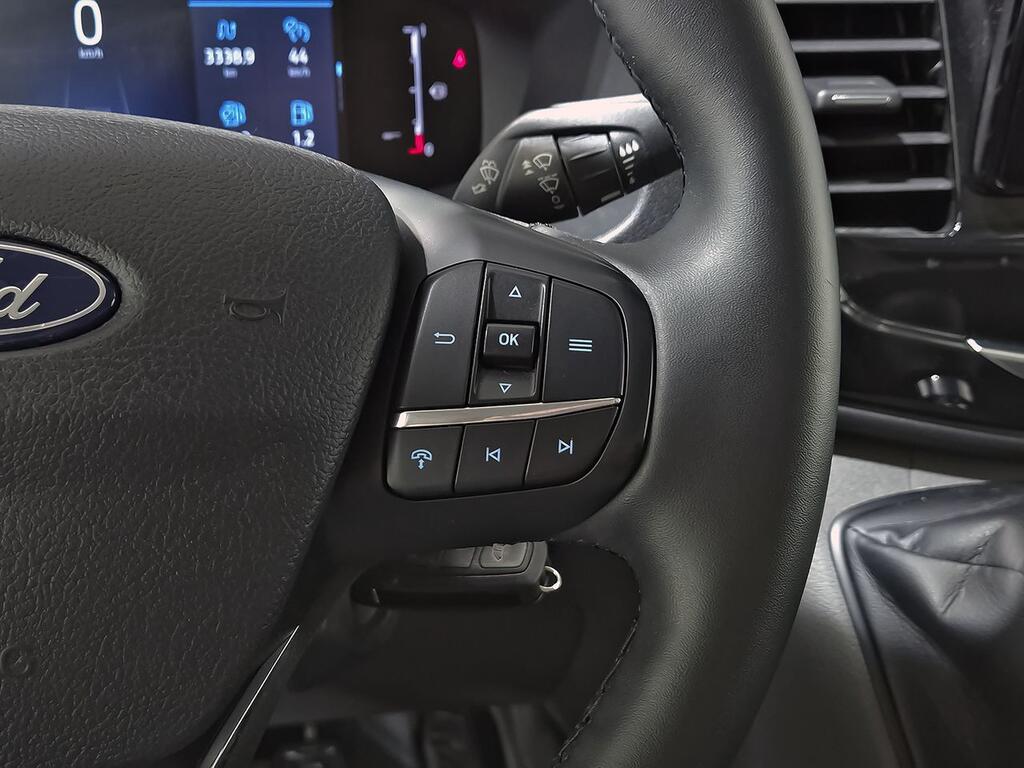 Ford Transit 2.0 ECOBLUE 130CV 350 L2H2 TREND FWD M 4P 19