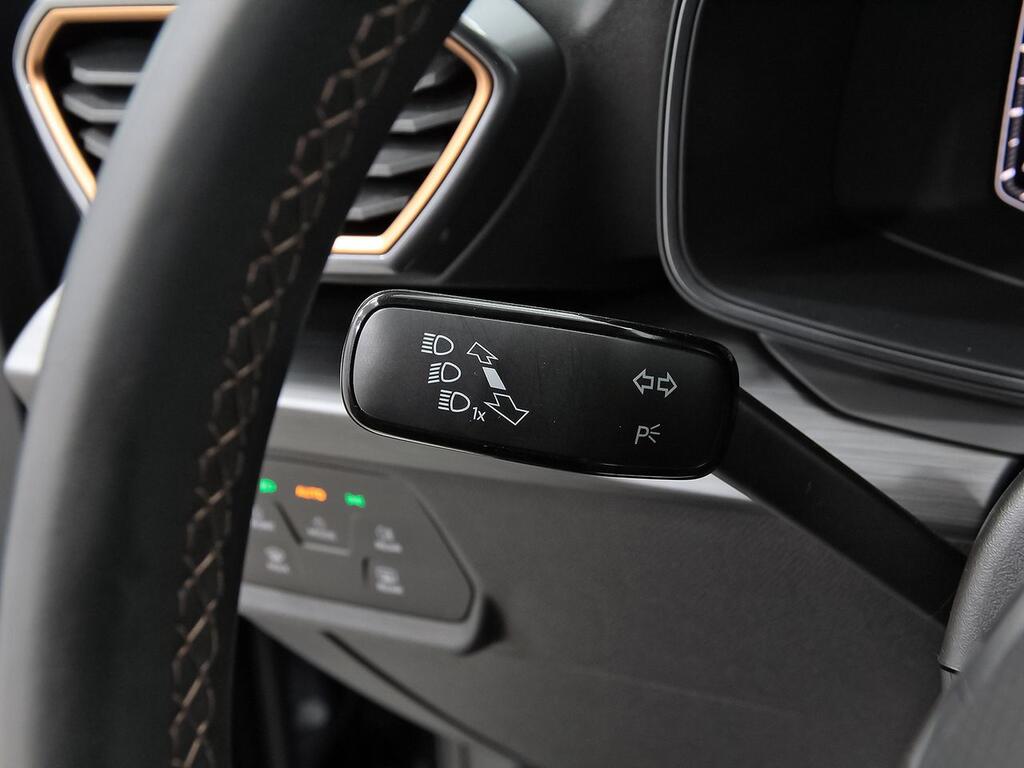 Cupra Formentor 1.5 TSI 110kW (150 CV) 13