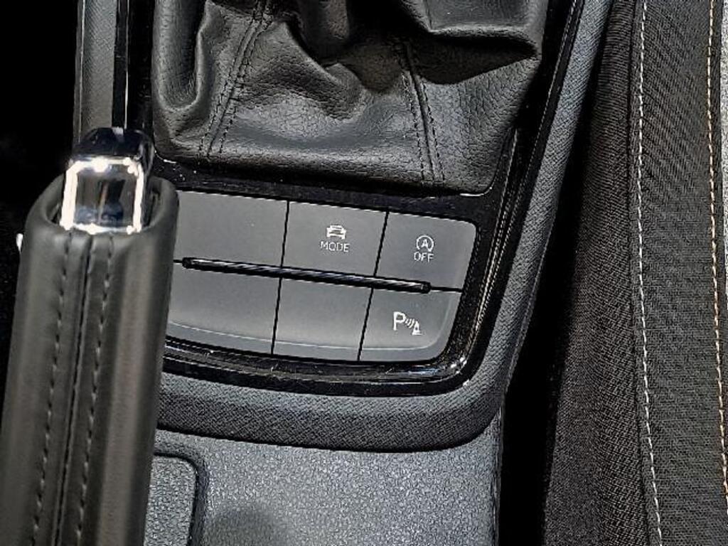 Skoda Kamiq 1.0 TSI 85kW (115CV) DSG SELECTION 28