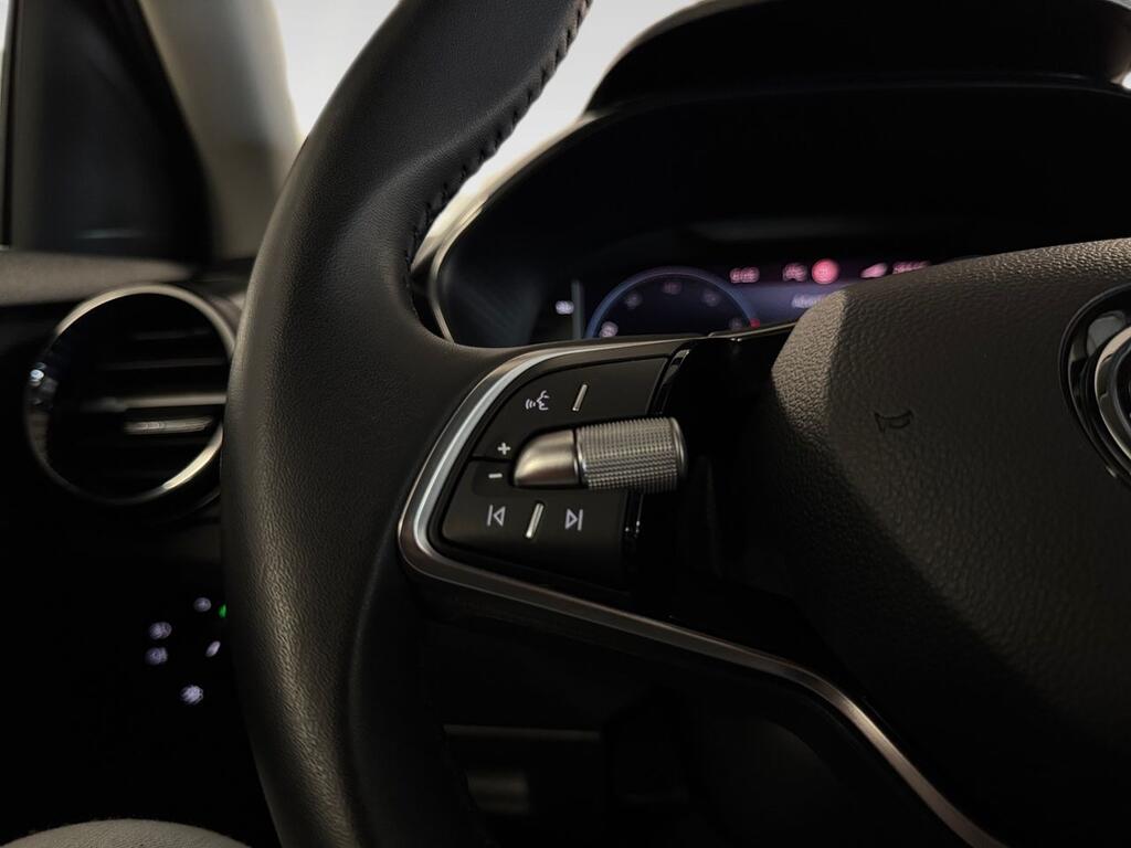 Skoda Fabia 1.0 TSI 85KW (115CV) Selection 9