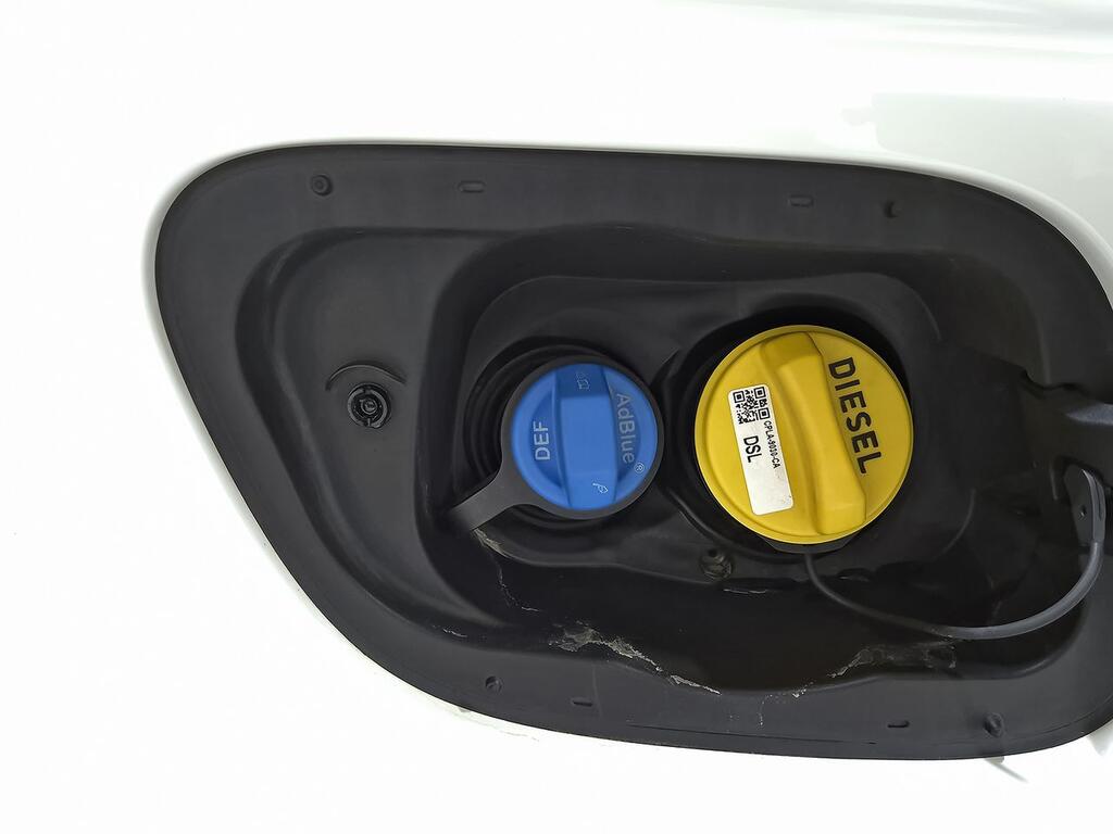 Land-Rover Discovery Sport 2.0D I4-L.Flw 150 PS AWD MHEV Auto HSE 32