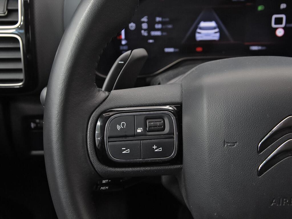 Citroën C5 Aircross BlueHdi 96kW (130CV) S&S EAT8 Plus 18