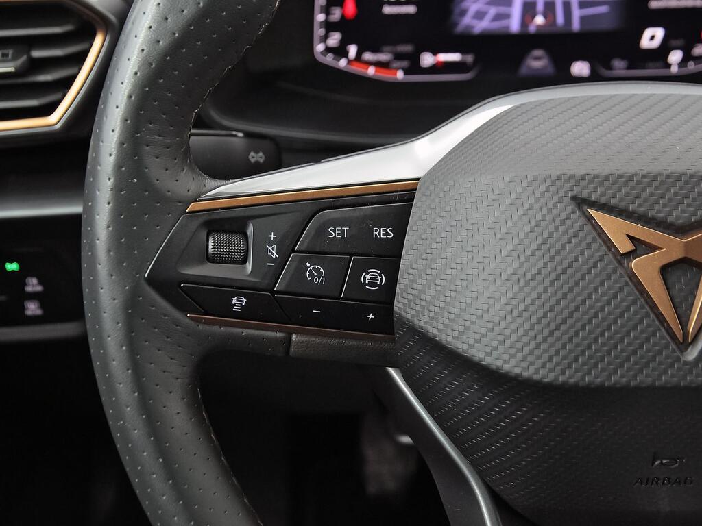 Cupra Formentor 1.5 TSI 110kW (150 CV) 15