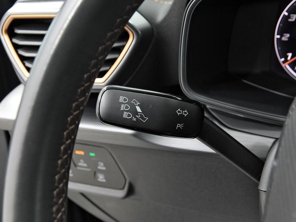 Cupra Formentor 1.5 TSI 110kW (150 CV) 13