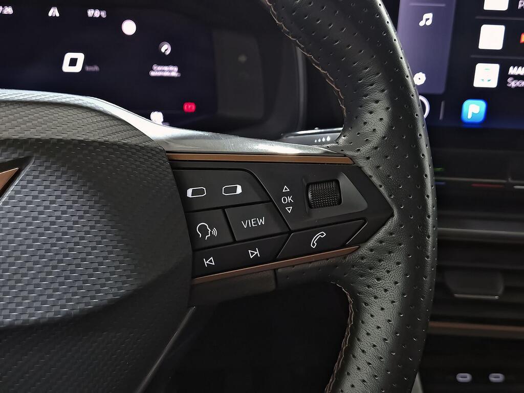 Cupra Formentor 2.0 TDI 110kW (150 CV) 17