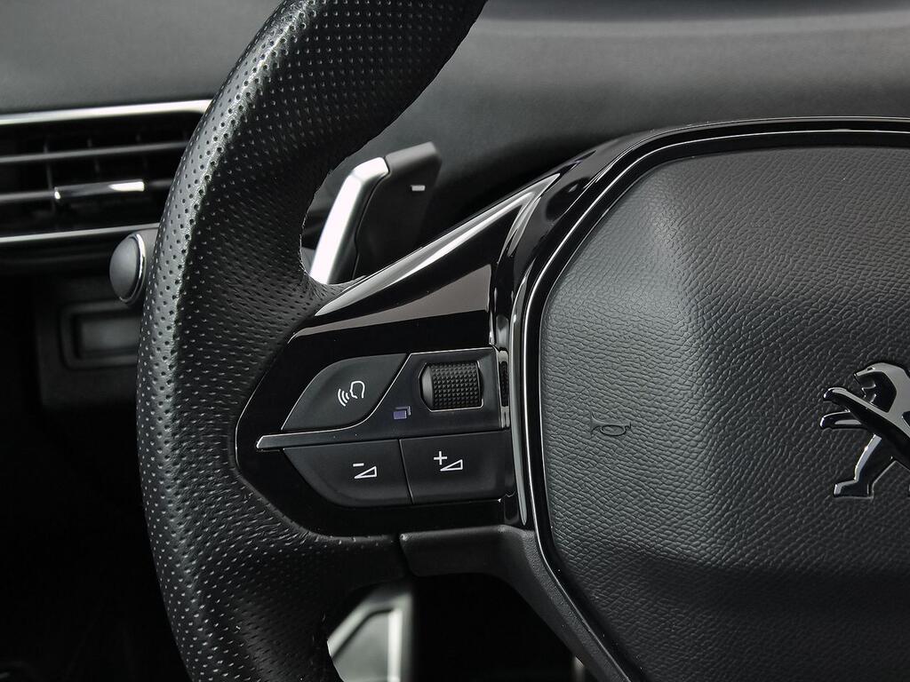 Peugeot 5008 1.5 BlueHDi 96kW S&S GT EAT8 19