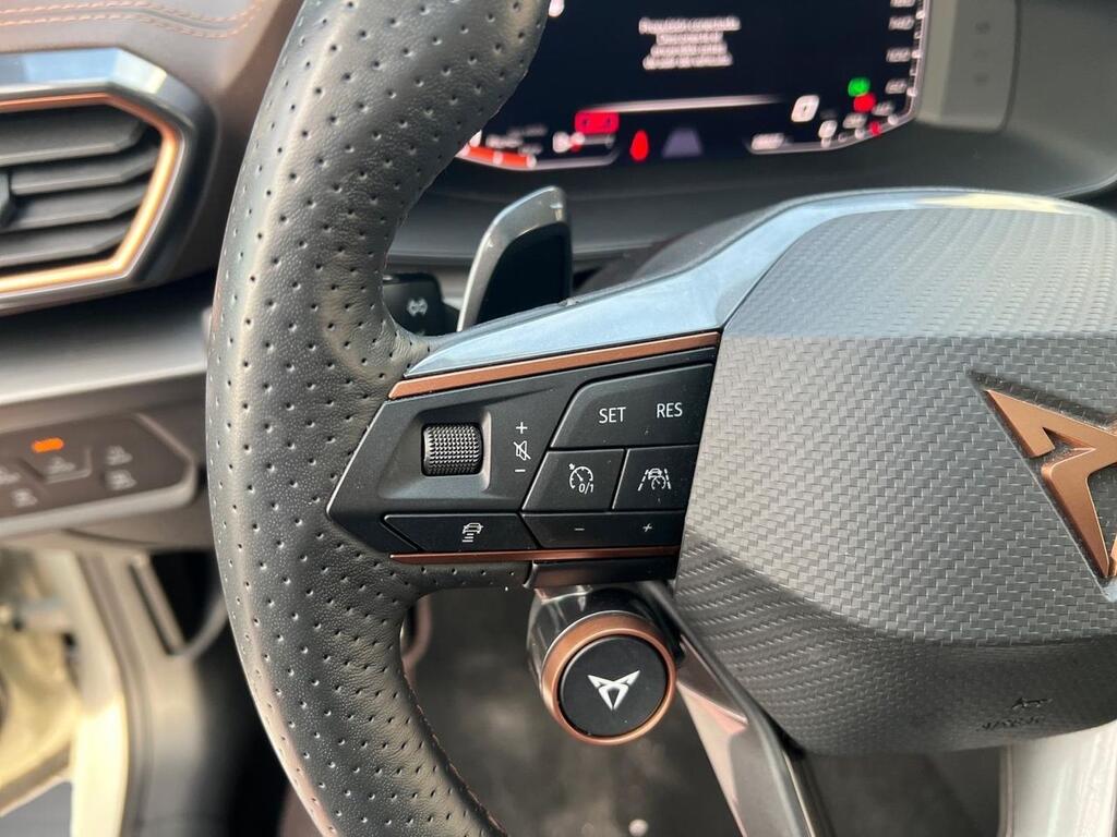 Cupra Formentor 2.5 TSI 287kW (390 CV) VZ5 TG 4Drive DSG 9