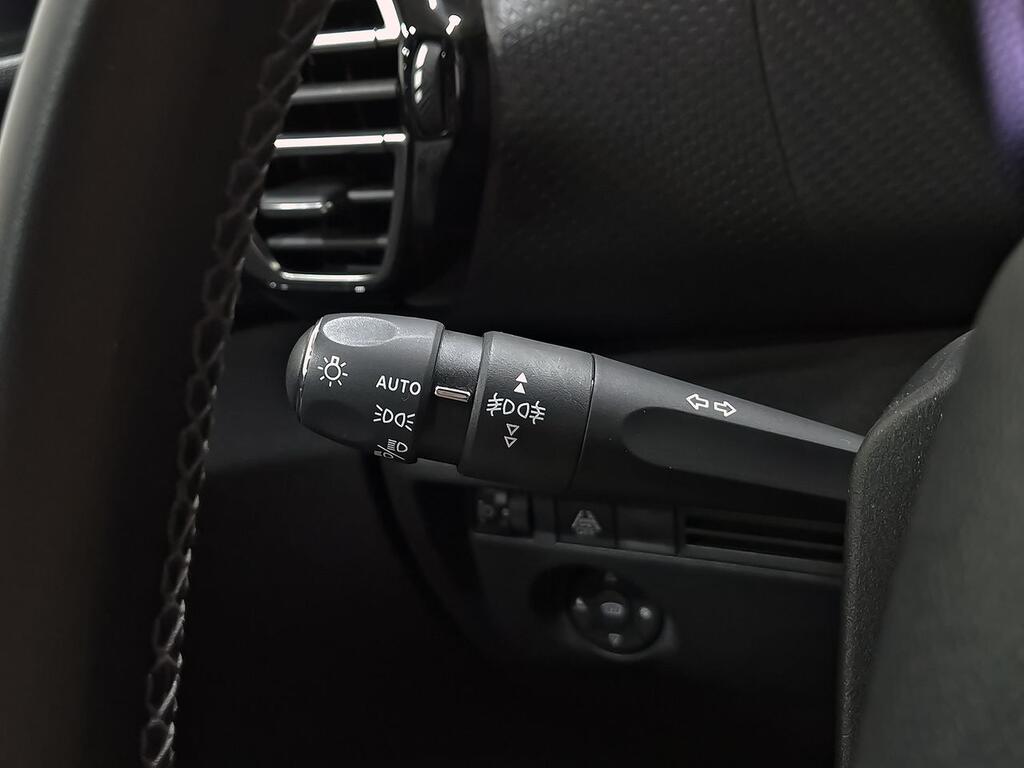 Citroën C4 BlueHDi 130 S&S EAT8 Shine 12