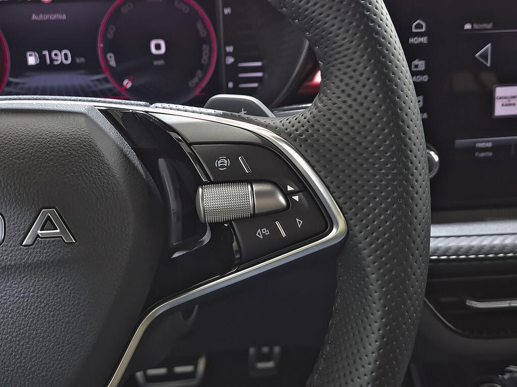 Skoda Fabia 1.0 TSI 85KW (115CV) DSG Monte Carlo 17