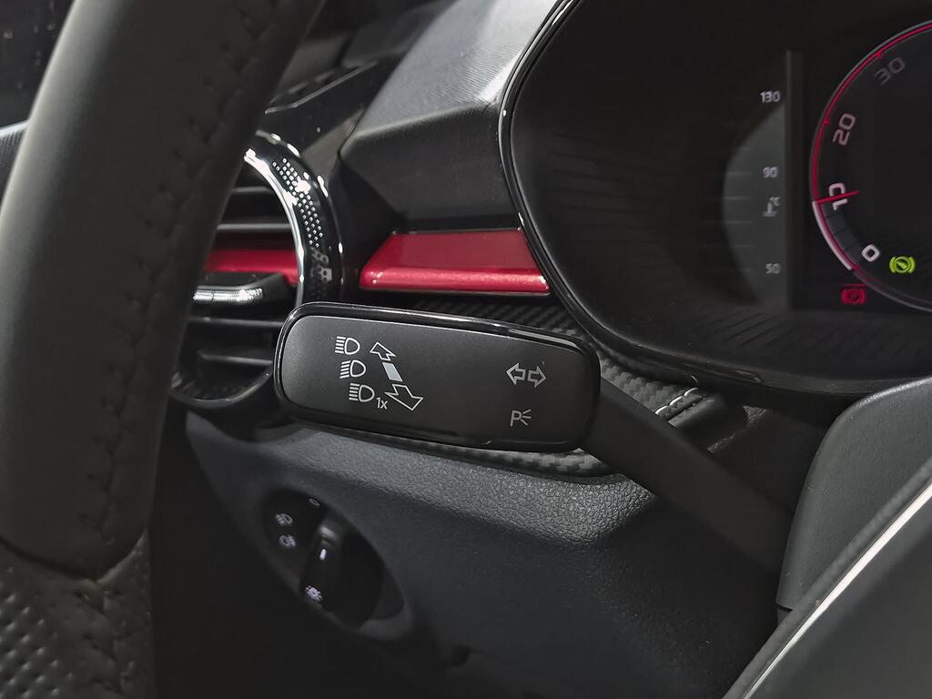 Skoda Fabia 1.0 TSI 85KW (115CV) DSG Monte Carlo 12