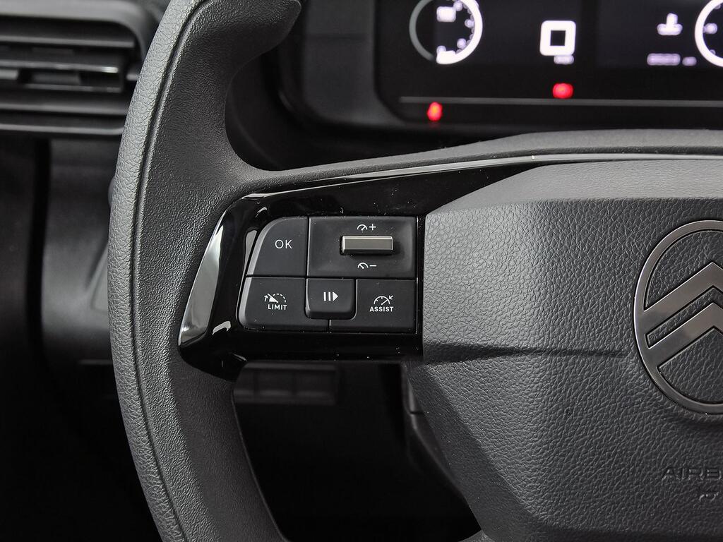 Citroën Berlingo Talla M BlueHDi 100 S&S PLUS 19