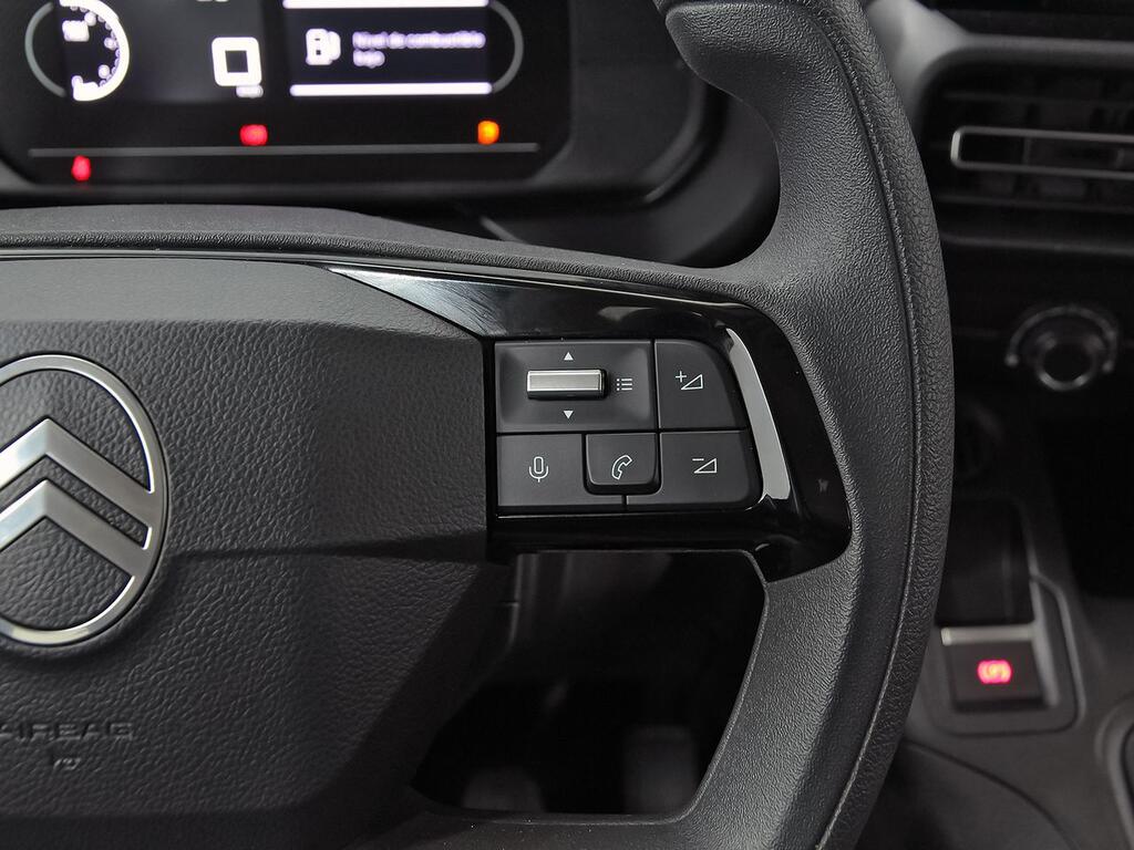 Citroën Berlingo Talla M BlueHDi 100 S&S PLUS 19