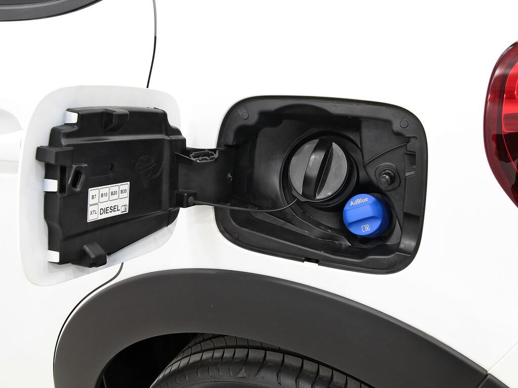 Citroën C3 BlueHDi 75KW (100CV) S&S Shine 33