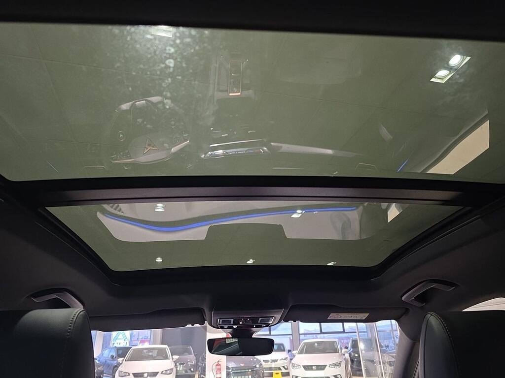 Cupra Formentor 1.5 TSI 110kW (150 CV) 13