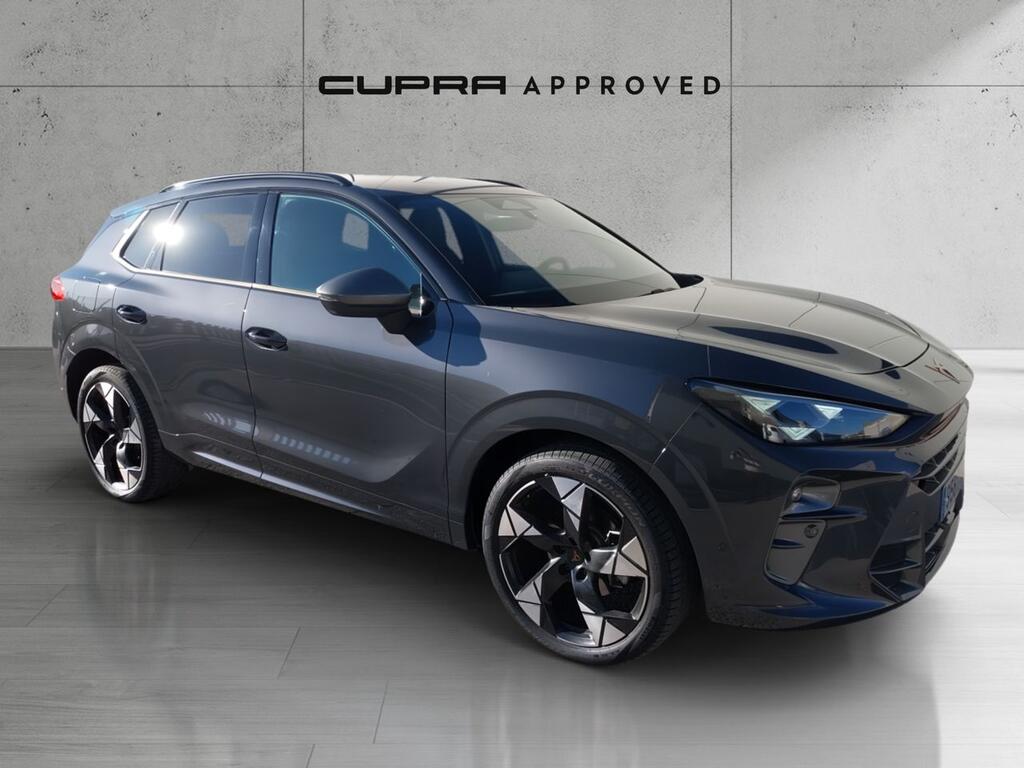 Cupra Terramar 1.5 eTSI 110kW (150 CV) DSG 1